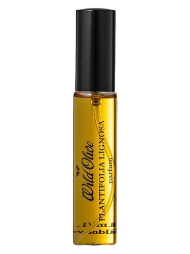 عطر ادکلن پلنتفولیا لیگنوسا وایلد اولیو آرتیزانز - Plantifolia Lignosa Wild Olive Artisans - بررسی، قیمت و خرید