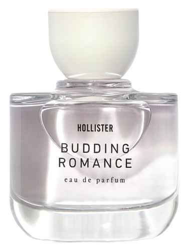 عطر ادکلن بادینگ رومنس هالیستر - Budding Romance Hollister - بررسی، قیمت و خرید