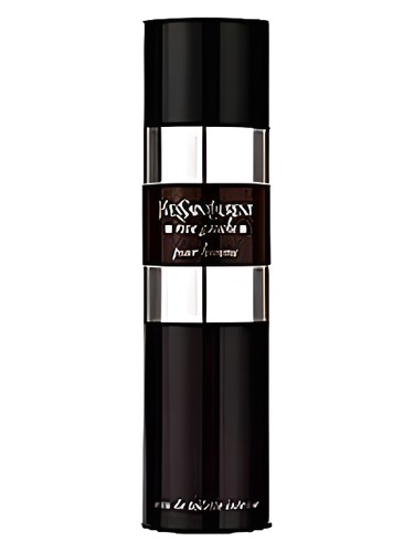 عطر ادکلن ریو گوش پور هوم اینتنس ایو سن لوران - Rive Gauche Pour Homme Intense Yves Saint Laurent - بررسی، قیمت و خرید