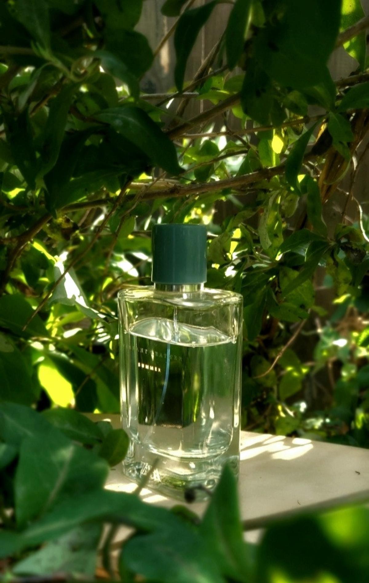 عطر ادکلن وایبرنت لدر سامر زارا - Vibrant Leather Summer Zara - بررسی، قیمت و خرید