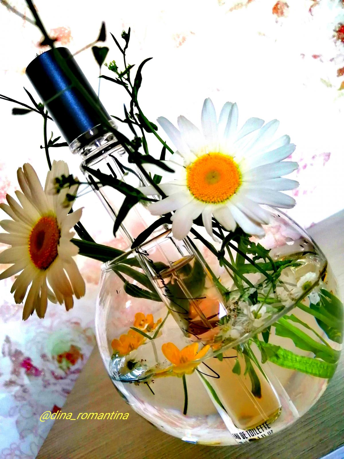 عطر ادکلن یوجی یوجی یاماموتو - Yohji Yohji Yamamoto - بررسی، قیمت و خرید