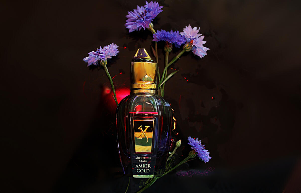 عطر ادکلن اَمبِر گُلد زرژوف - Amber Gold Xerjoff - بررسی، قیمت و خرید
