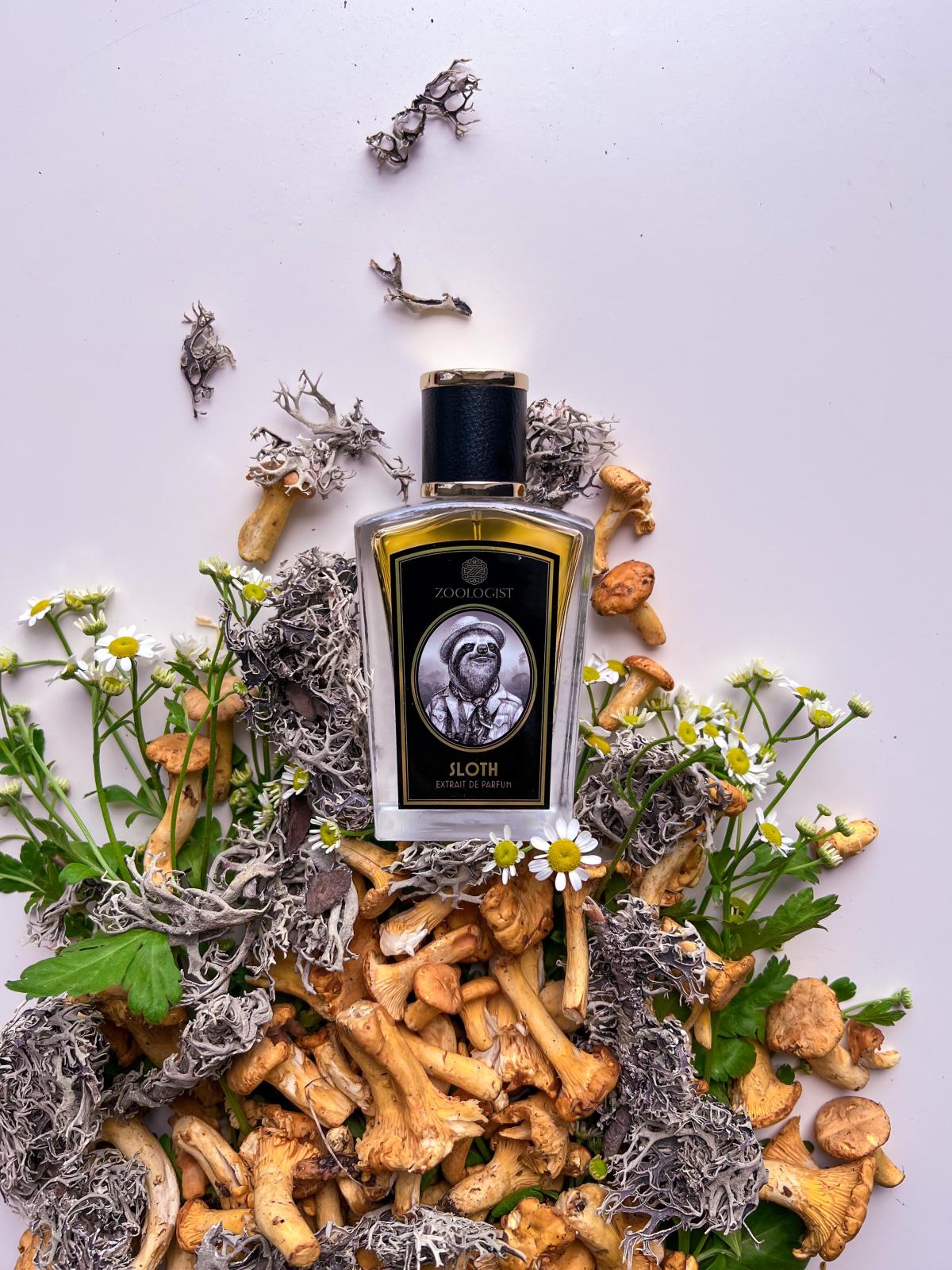 عطر ادکلن اسلات زولوجیست پرفیومز - Sloth Zoologist Perfumes - بررسی، قیمت و خرید