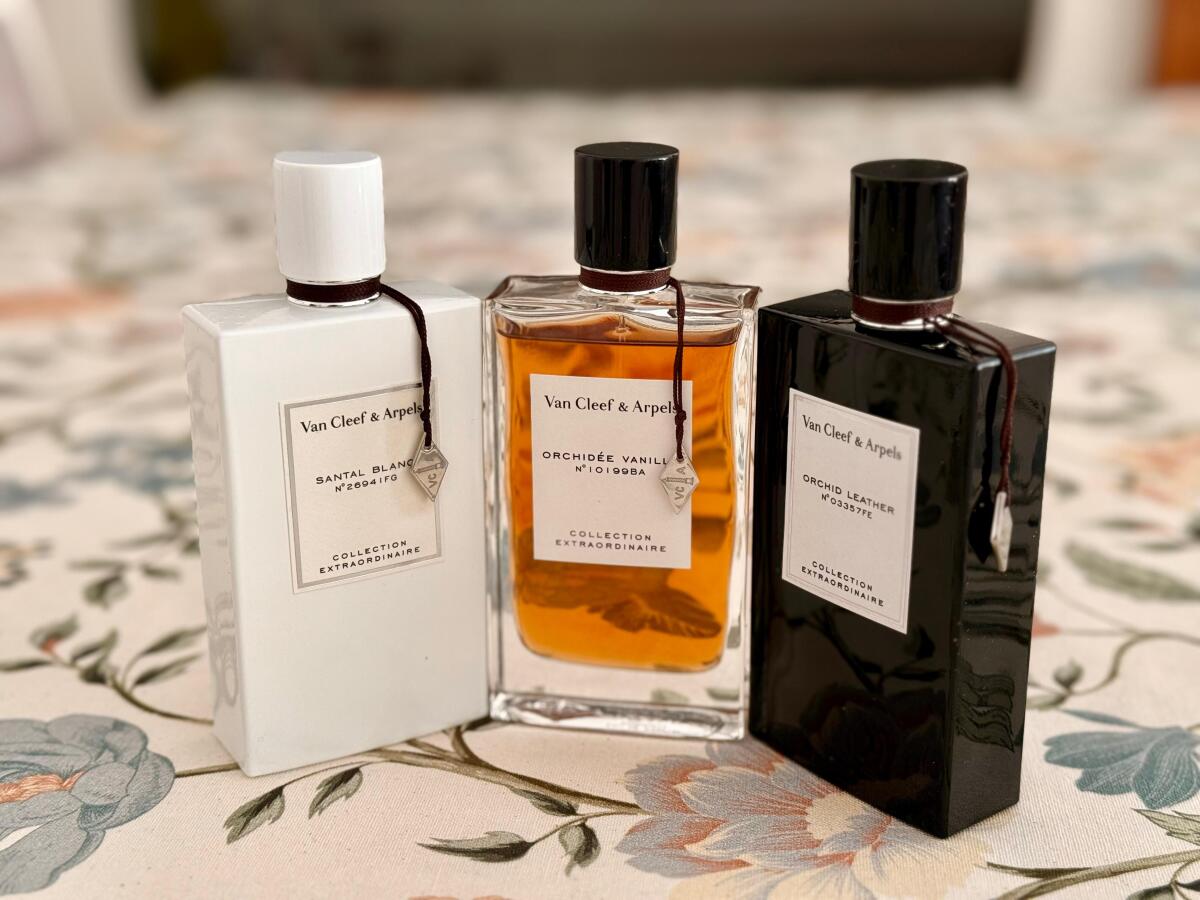 عطر ادکلن ارکید لدر ون کلیف اند آرپلز - Orchid Leather Van Cleef & Arpels - بررسی، قیمت و خرید