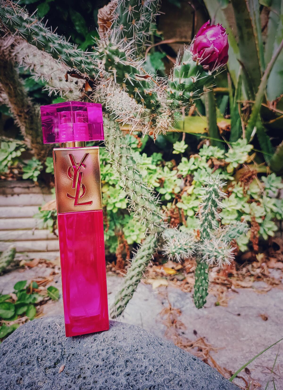 عطر ادکلن اِل ایو سن لوران - Elle Yves Saint Laurent - بررسی، قیمت و خرید