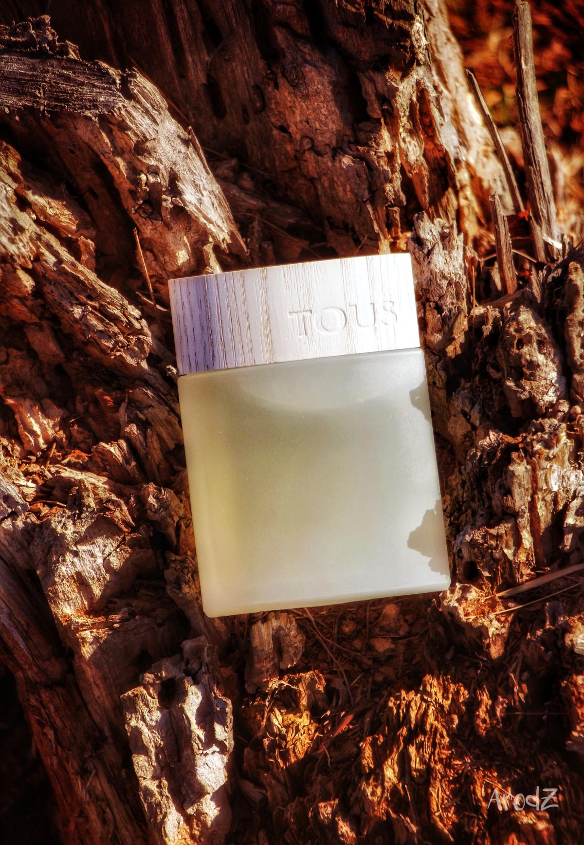 عطر ادکلن توس مان لِ کولون کُنسانتره تووس - TOUS MAN Les Colognes Concentrées Tous - بررسی، قیمت و خرید