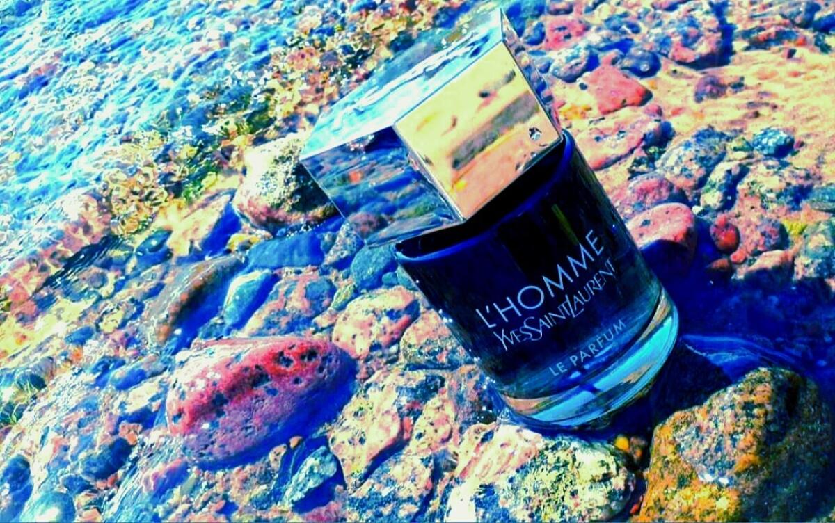 عطر ادکلن الهوم لو پارفوم ایو سن لوران - L'Homme Le Parfum Yves Saint Laurent - بررسی، قیمت و خرید