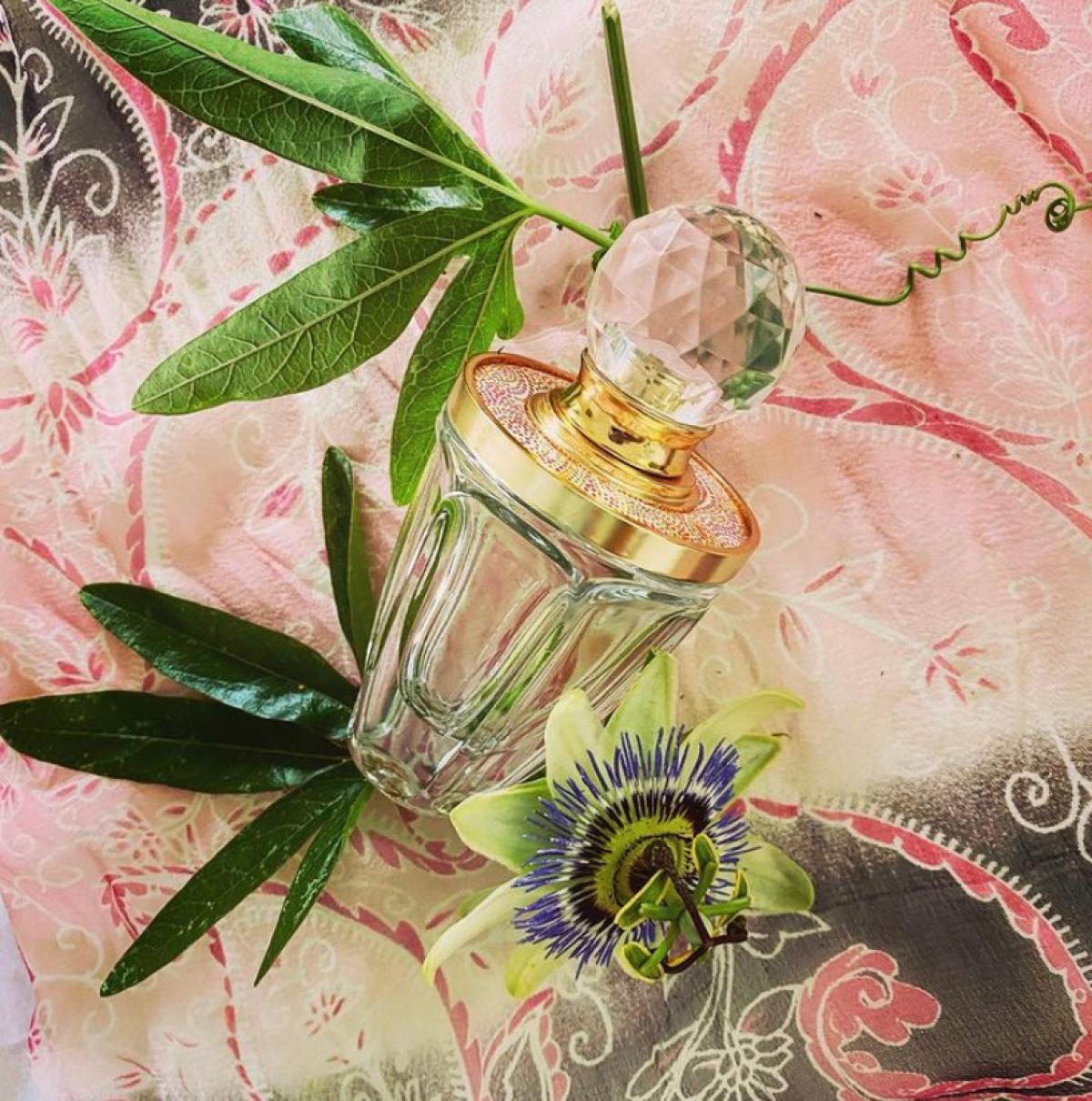 عطر ادکلن تیلور بای تیلور سویفت مید آف استارلایت تیلور سوئیفت - Taylor by Taylor Swift Made of Starlight Taylor Swift - بررسی، قیمت و خرید