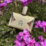 عطر ادکلن آیکان اتیان آیگر - Icon Etienne Aigner - بررسی، قیمت و خرید