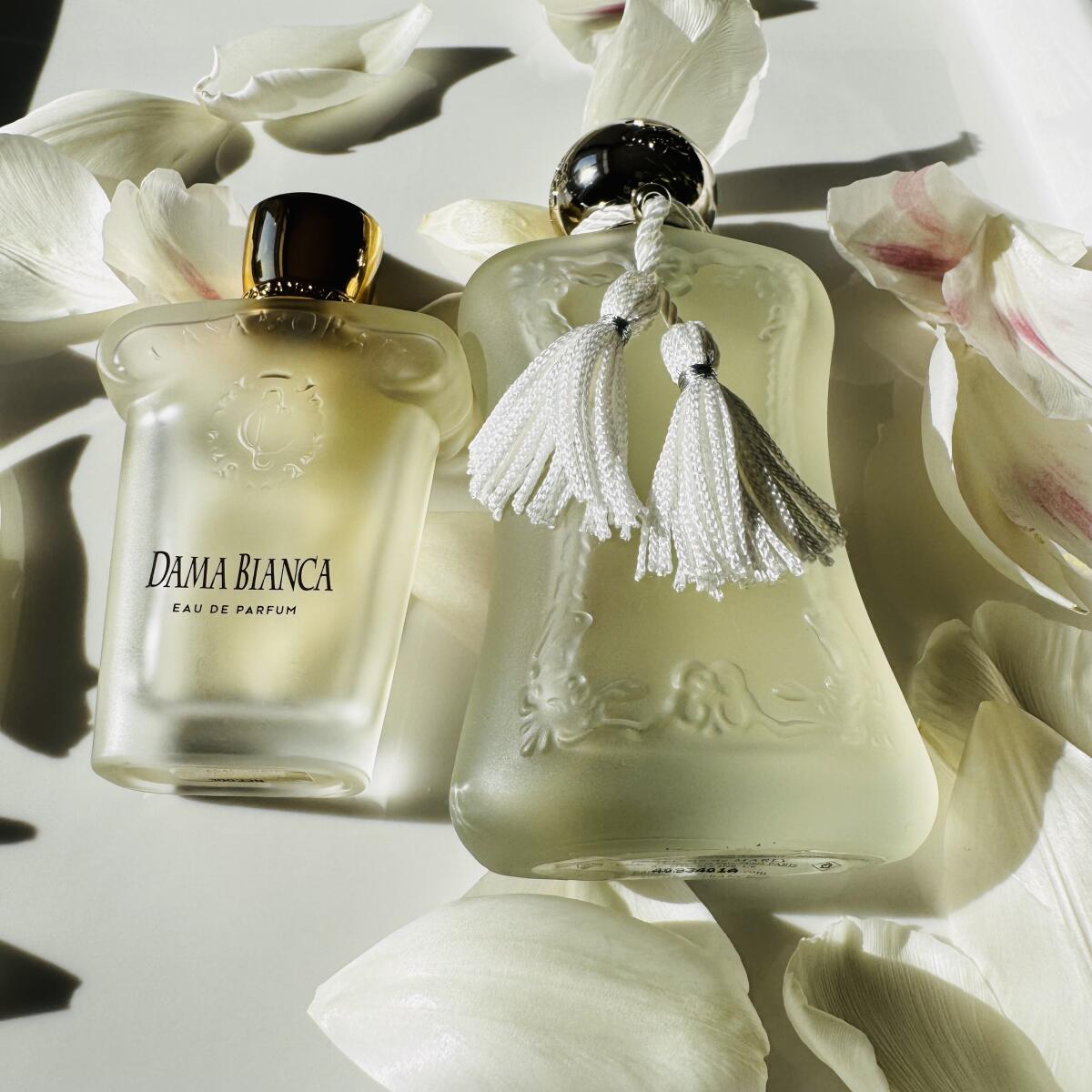 عطر ادکلن داما بیانکا زرجوف - Dama Bianca Xerjoff - بررسی، قیمت و خرید