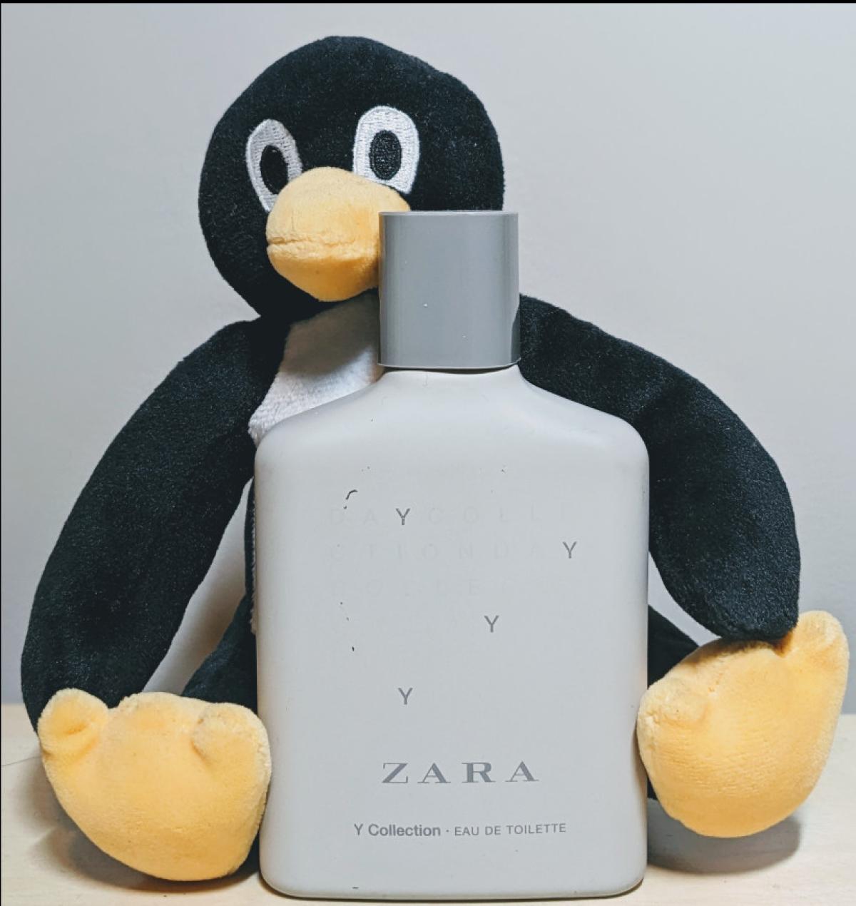 عطر ادکلن وای کالکشن زارا - Y Collection Zara - بررسی، قیمت و خرید