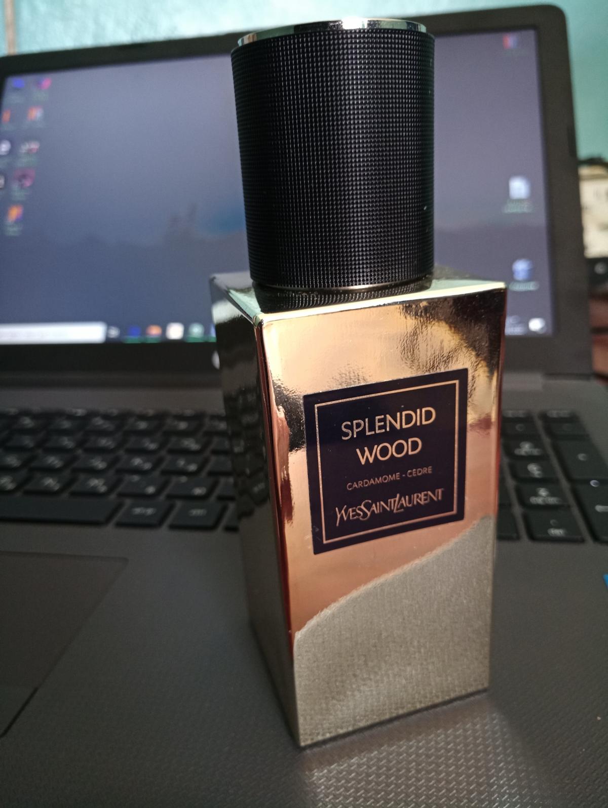عطر ادکلن اسپلندید وود ایو سن لوران - Splendid Wood (Le Vestiaire des Parfums) Yves Saint Laurent - بررسی، قیمت و خرید