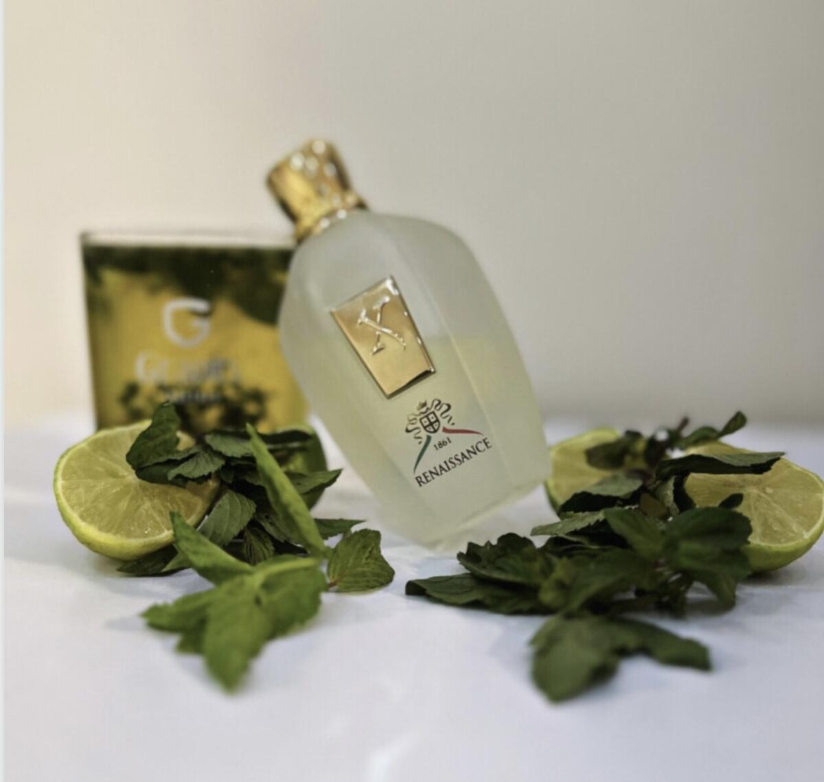 عطر ادکلن ایکس جی ۱۸۶۱ رنسانس زرژاف - XJ 1861 Renaissance Xerjoff - بررسی، قیمت و خرید