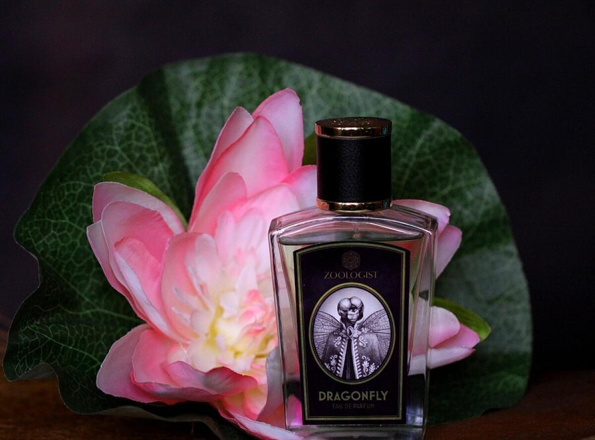 عطر ادکلن دراگون فلای زولوژیست پرفیومز - Dragonfly Zoologist Perfumes - بررسی، قیمت و خرید