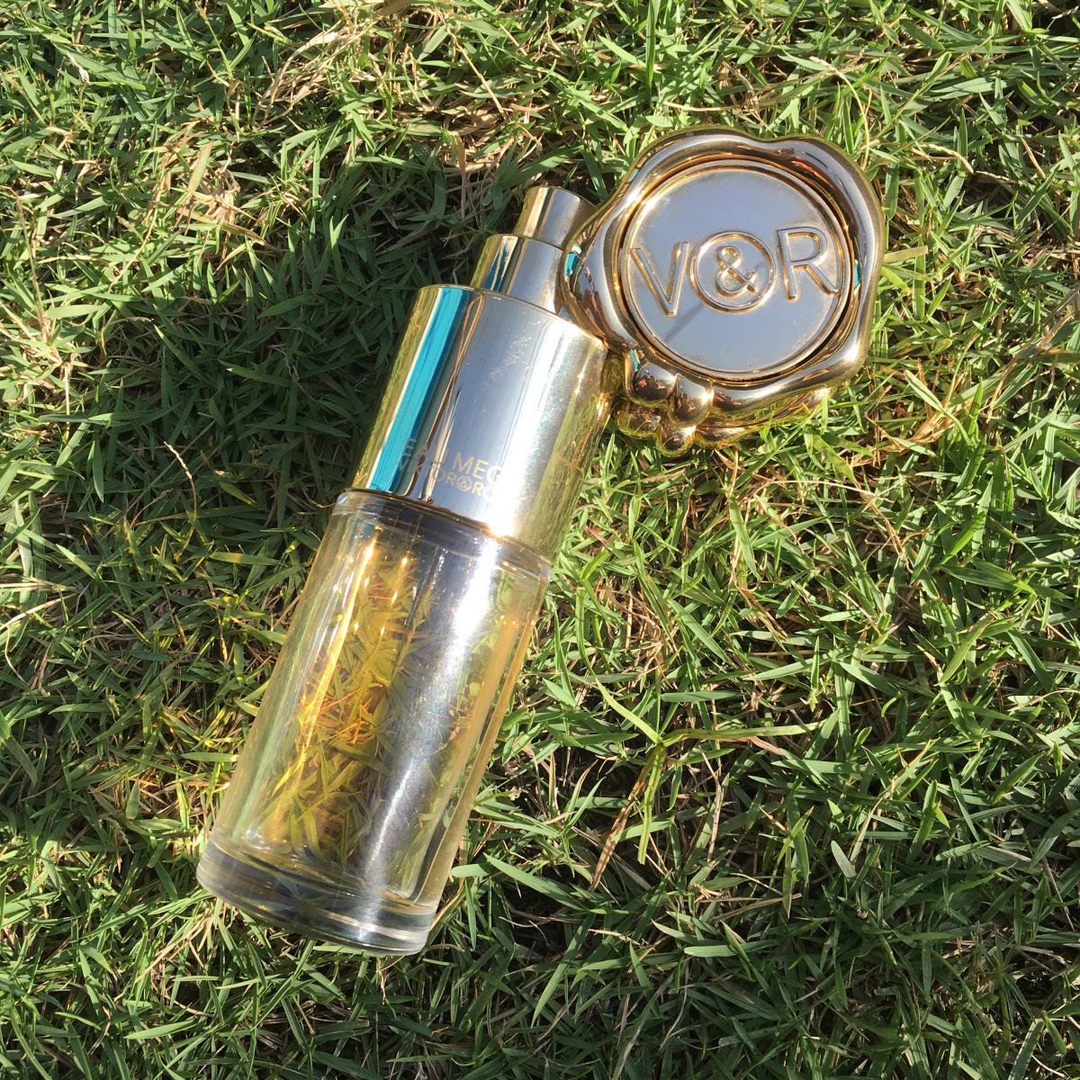 عطر ادکلن اُ مگا ویکتور اند رولف - Eau Mega Viktor&Rolf - بررسی، قیمت و خرید