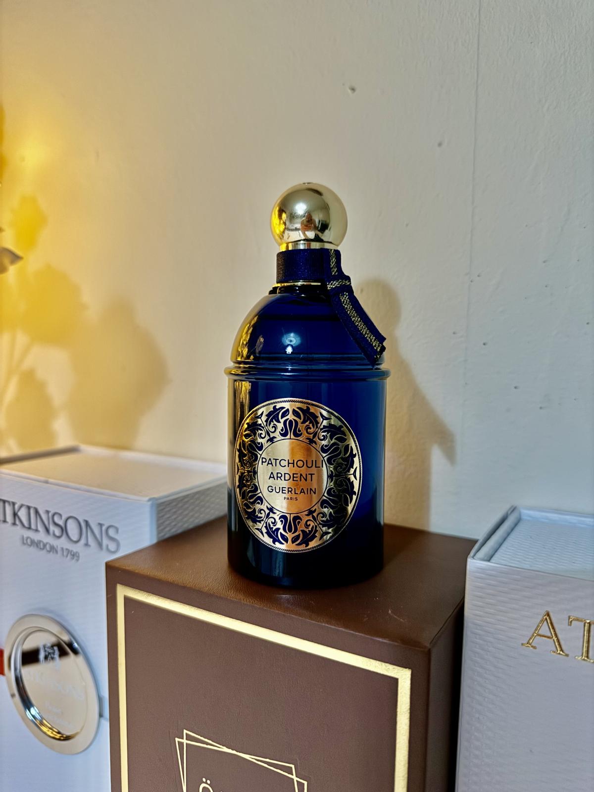 عطر ادکلن لیز آبسولو دون اورین پچولی آردنت گرلن - Les Absolus d'Orient Patchouli Ardent Guerlain - بررسی، قیمت و خرید