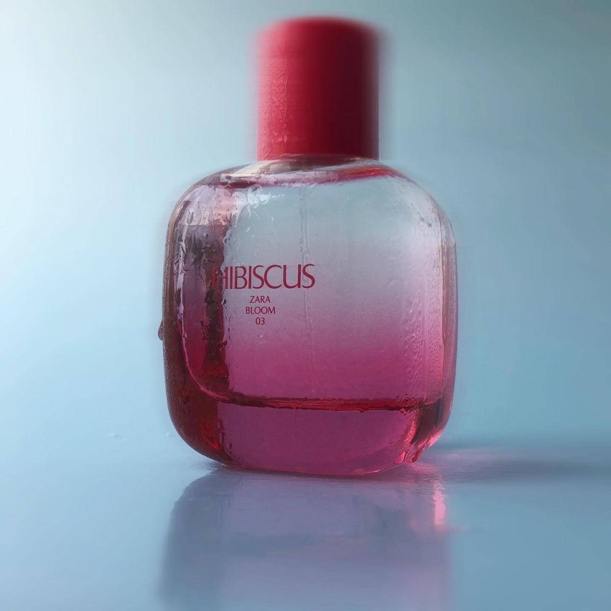 عطر ادکلن هايبیسکاس زارا - Hibiscus Zara - بررسی، قیمت و خرید