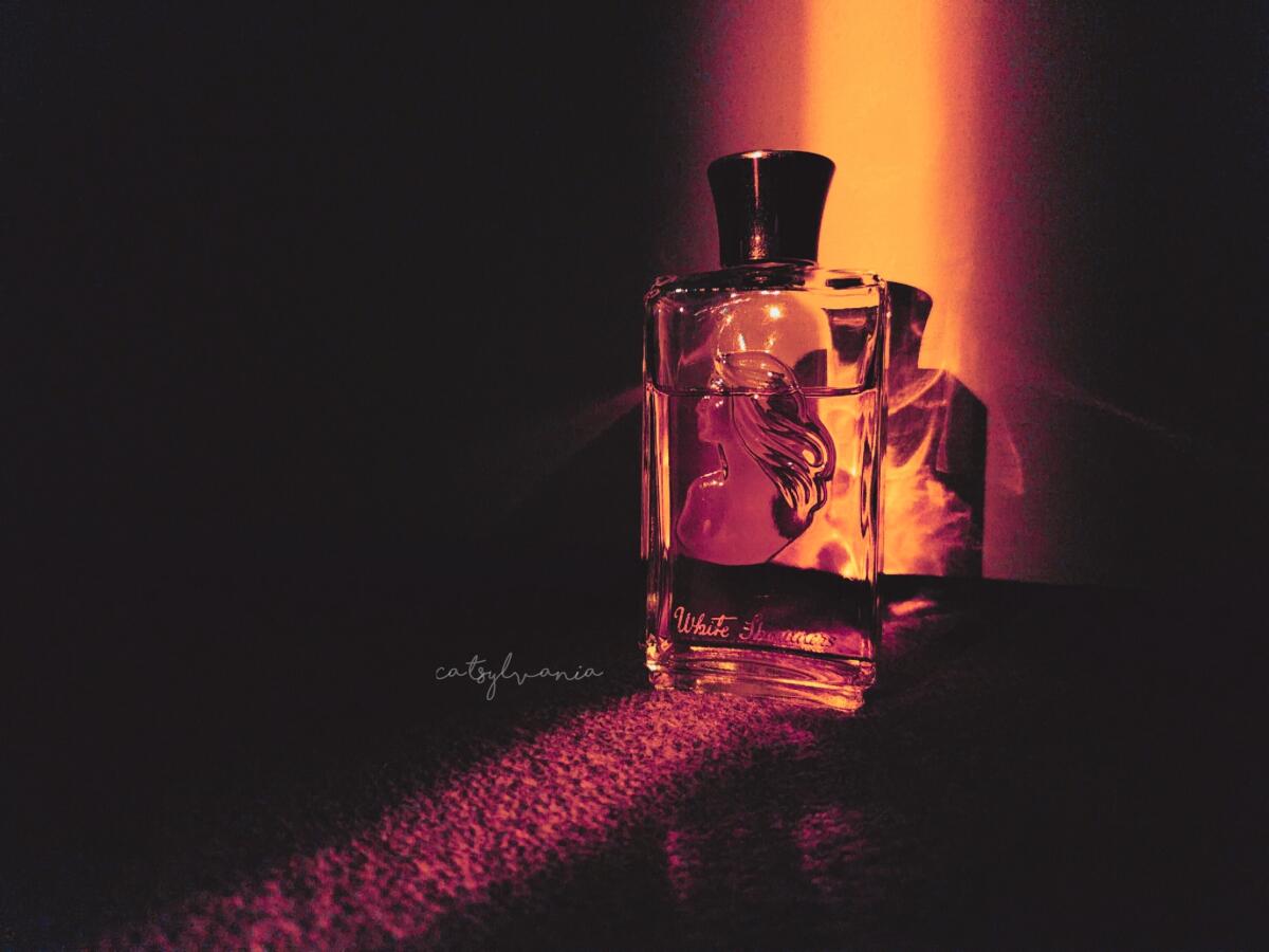 عطر ادکلن وایت شولدرز اویان - White Shoulders Evyan - بررسی، قیمت و خرید