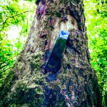 عطر ادکلن گوست من گوست - Ghost Man Ghost - بررسی، قیمت و خرید