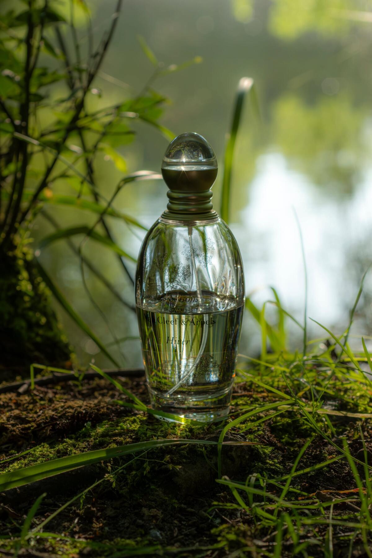 عطر ادکلن لی سِزُن ایوِر ون کلیف اند آرپلز - Les Saisons Hiver Van Cleef & Arpels - بررسی، قیمت و خرید