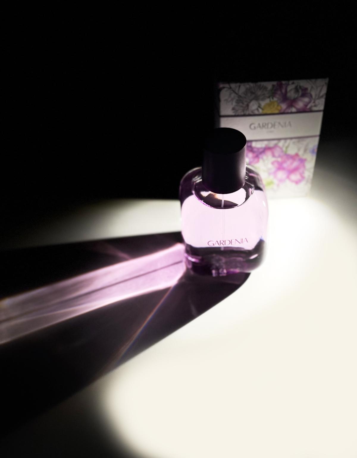 عطر ادکلن گارگدنیا بیست و بیست و یک زارا - Gardenia 2021 Zara - بررسی، قیمت و خرید