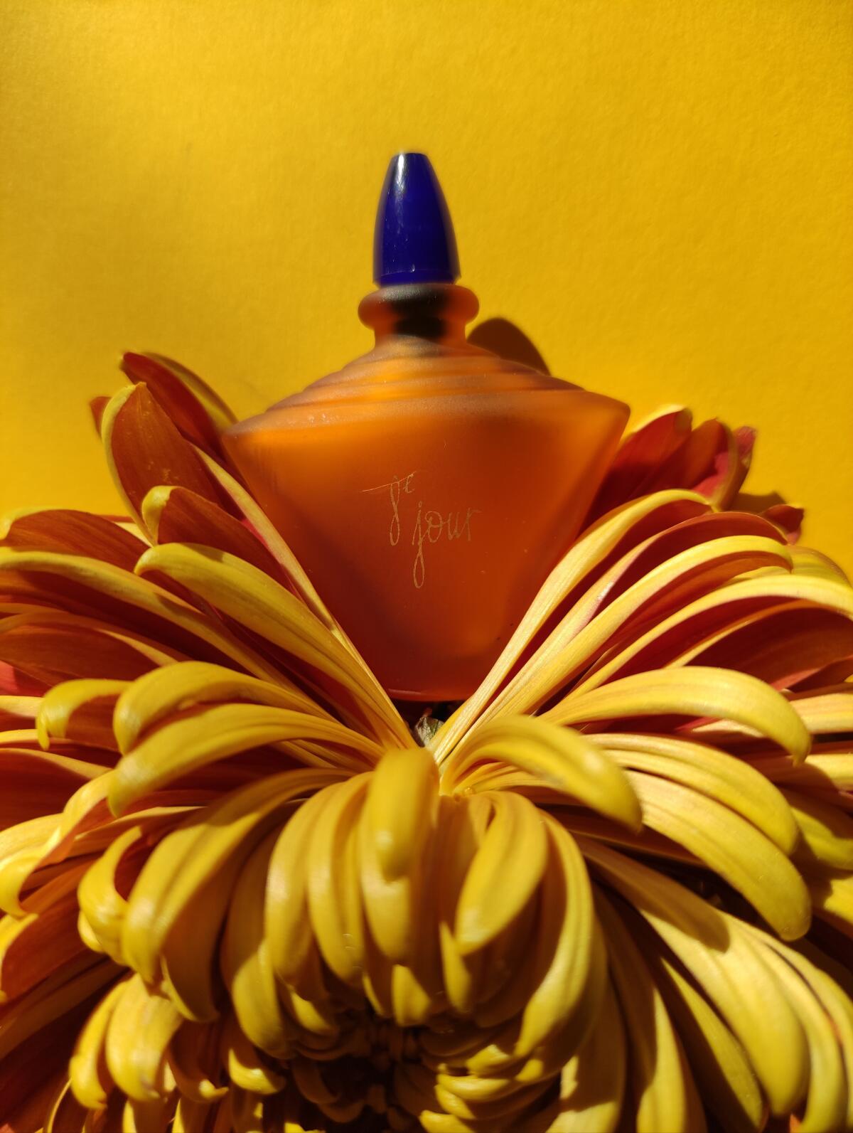 عطر ادکلن هشتم ژور ایو روشه - 8e Jour Yves Rocher - بررسی، قیمت و خرید