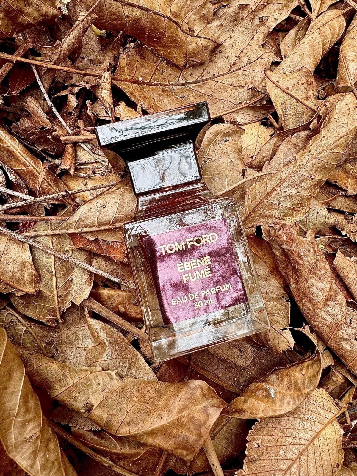 عطر ادکلن اِبِن فومه تام فورد - Ébène Fumé Tom Ford - بررسی، قیمت و خرید