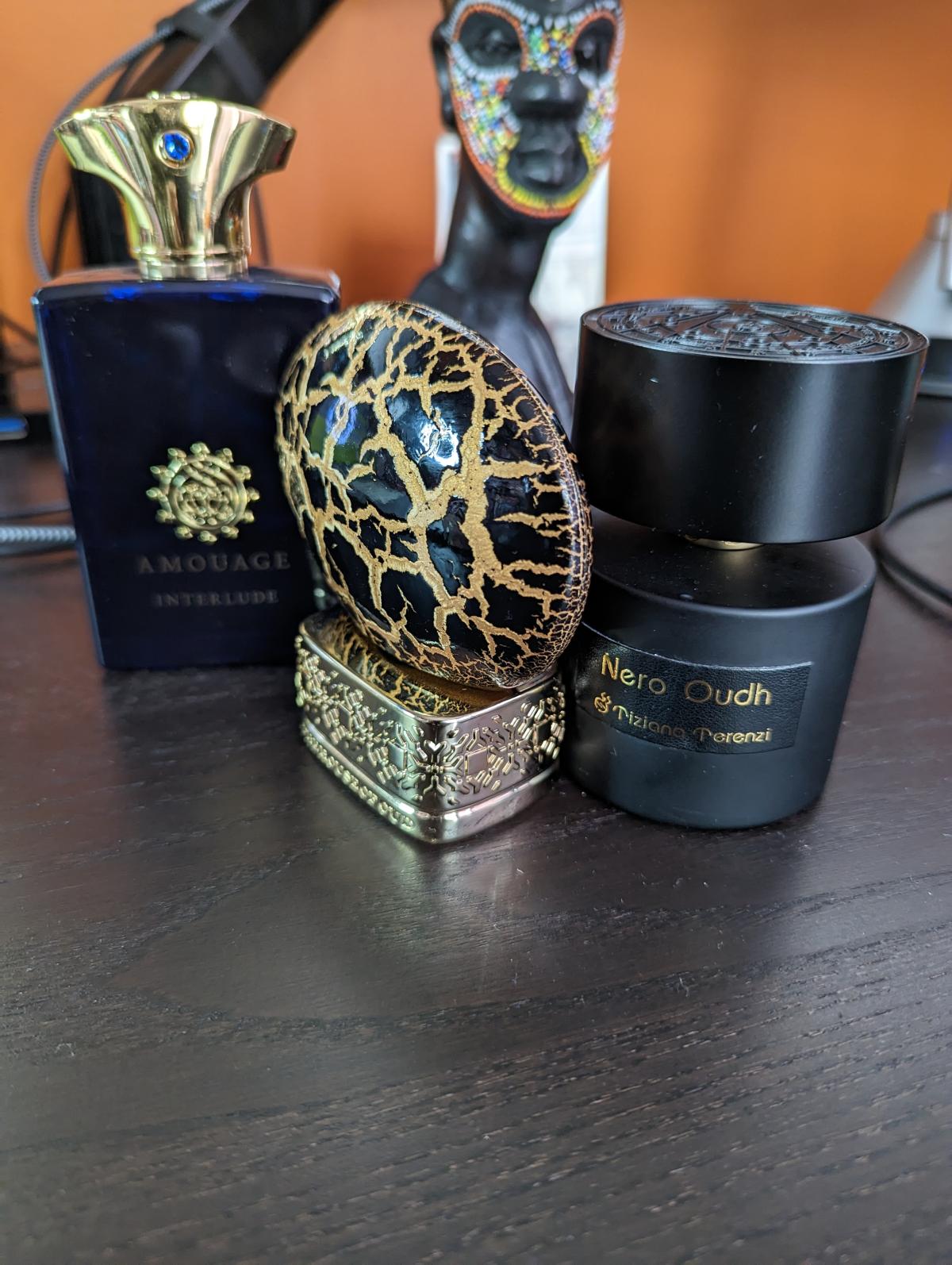 عطر ادکلن بلیسینگ سایلنس د هاوس آو عود - Blessing Silence The House of Oud - بررسی، قیمت و خرید