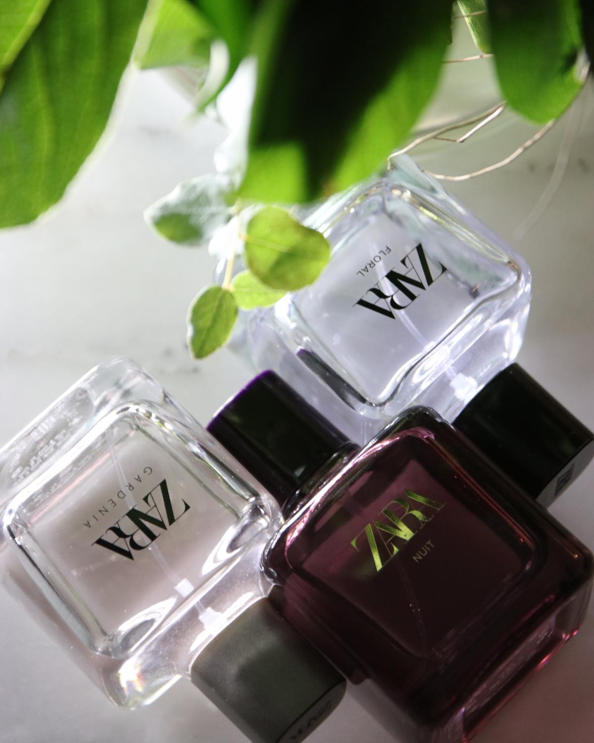 عطر ادکلن نويي زارا - Nuit Zara - بررسی، قیمت و خرید