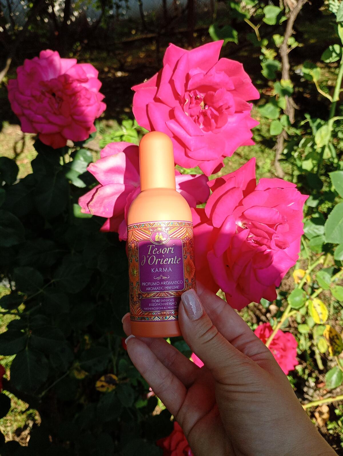 عطر ادکلن کارما تسوری دورینته - Karma Tesori d'Oriente - بررسی، قیمت و خرید