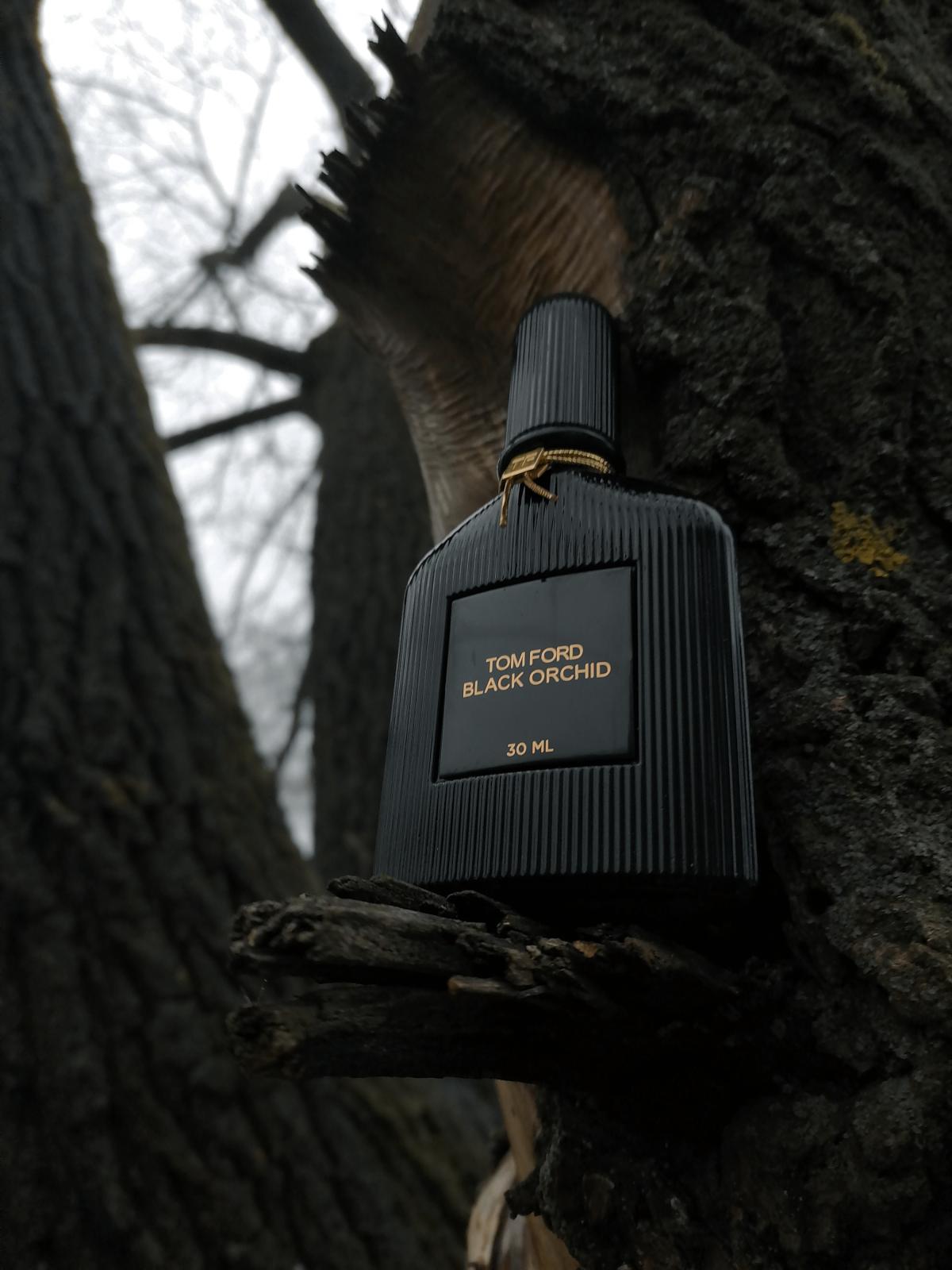 عطر ادکلن بلک ارکید وویل د فلور تام فورد - Black Orchid Voile de Fleur Tom Ford - بررسی، قیمت و خرید