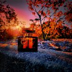 عطر ادکلن گوچی بای گوچی ادو پرفیوم گوجی - Gucci by Gucci Eau de Parfum Gucci - بررسی، قیمت و خرید