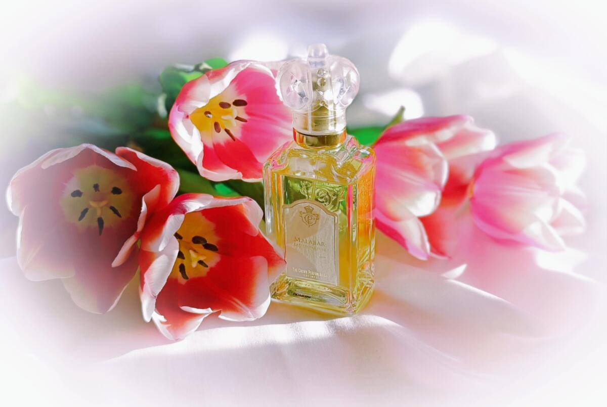 عطر ادکلن مالابار د کرون پرفیومری کو - Malabar The Crown Perfumery Co. - بررسی، قیمت و خرید