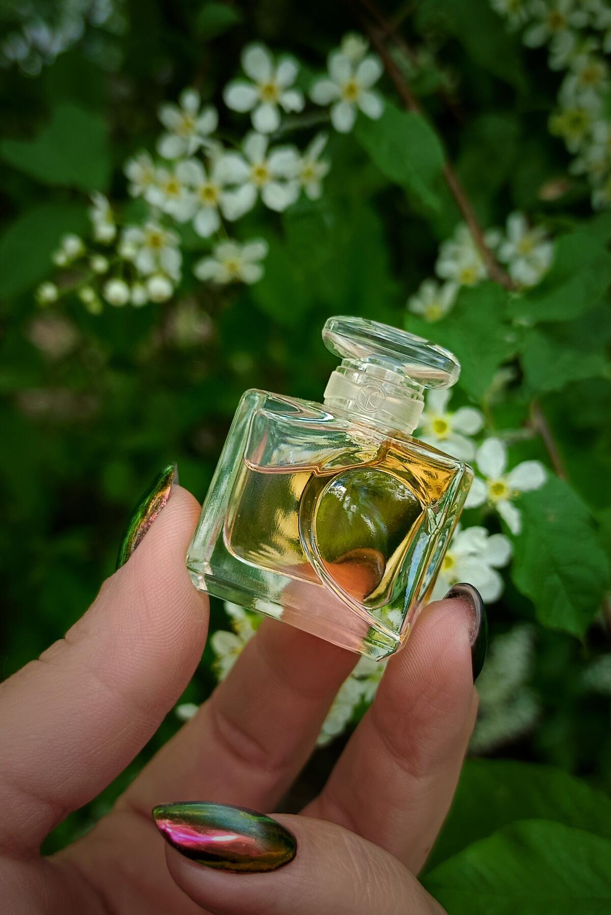 عطر ادکلن کلک نوت دامور ایوروشه - Quelques Notes d’Amour Yves Rocher - بررسی، قیمت و خرید
