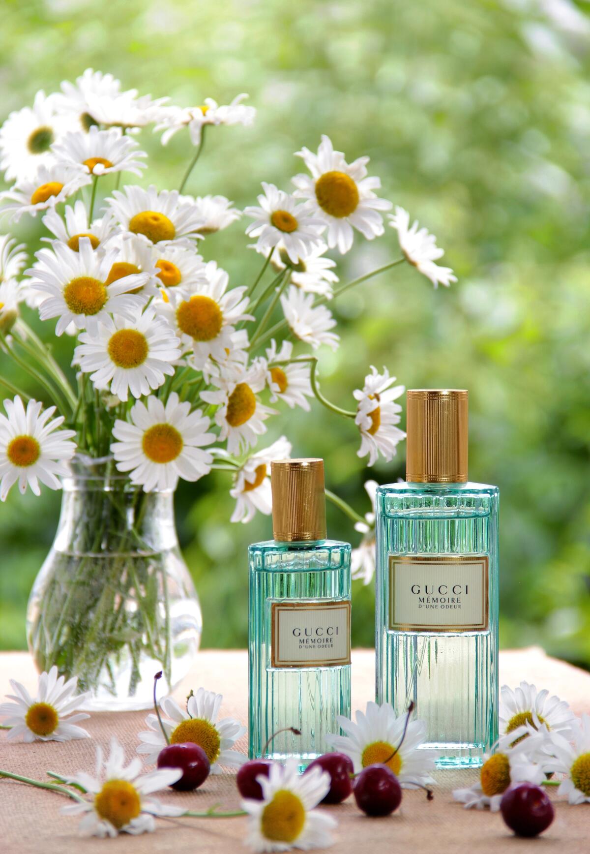 عطر ادکلن ممور دون اودور گوچی - Mémoire d’une Odeur Gucci - بررسی، قیمت و خرید