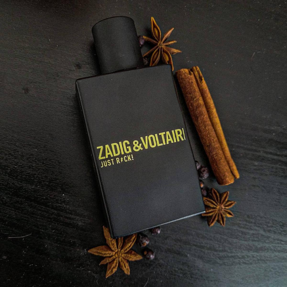 عطر ادکلن جاست راک فور هیم زادیک اند ولتر - Just Rock! for Him Zadig & Voltaire - بررسی، قیمت و خرید