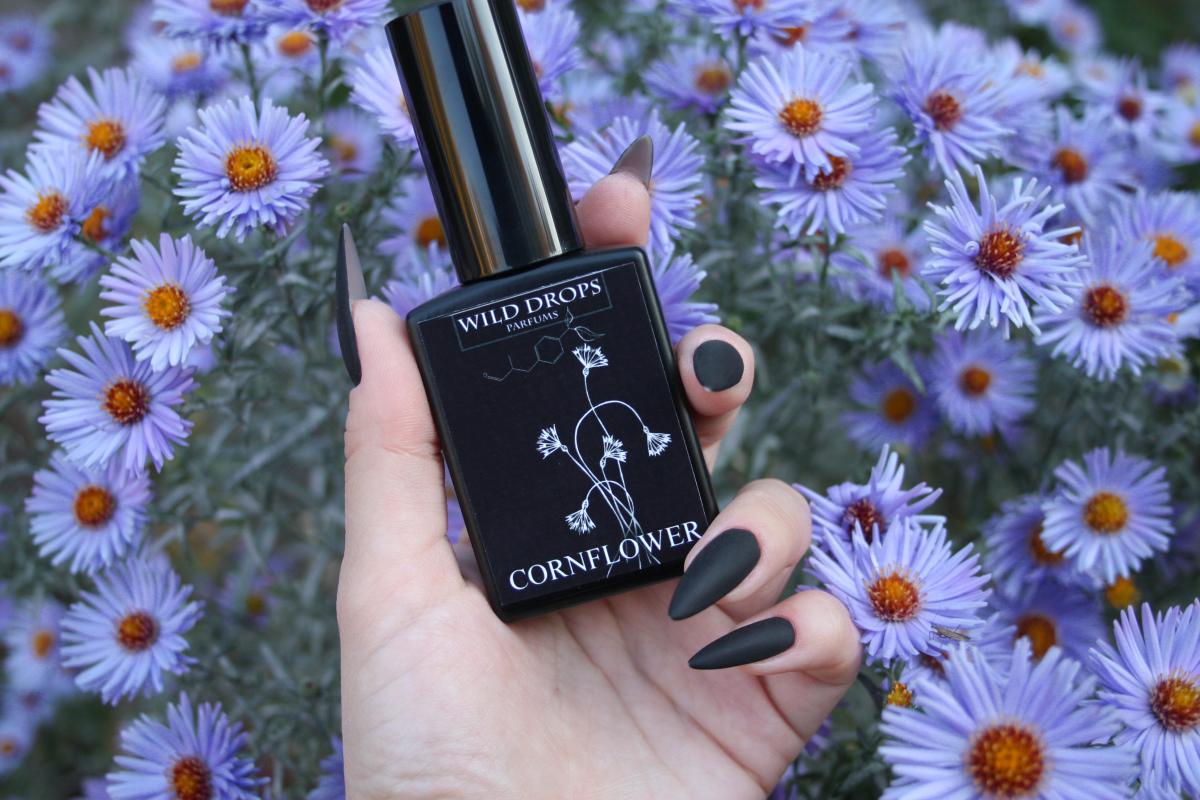 عطر ادکلن کُرن‌فلاور وایلد دراپز پارفومز - Cornflower Wild Drops Parfums - بررسی، قیمت و خرید