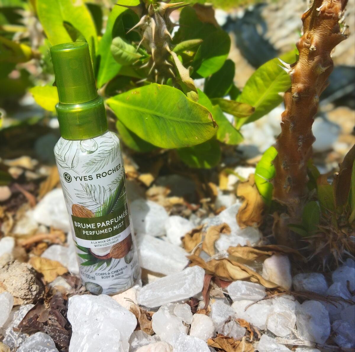 عطر ادکلن ناک دو کوکو ایو روشه - Noix de Coco Yves Rocher - بررسی، قیمت و خرید