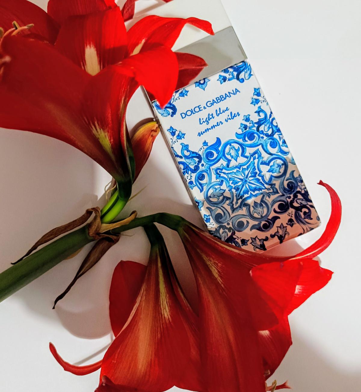 عطر ادکلن لایت بلو سامر وایبز دولچه اند گابانا - Light Blue Summer Vibes Dolce&Gabbana - بررسی، قیمت و خرید