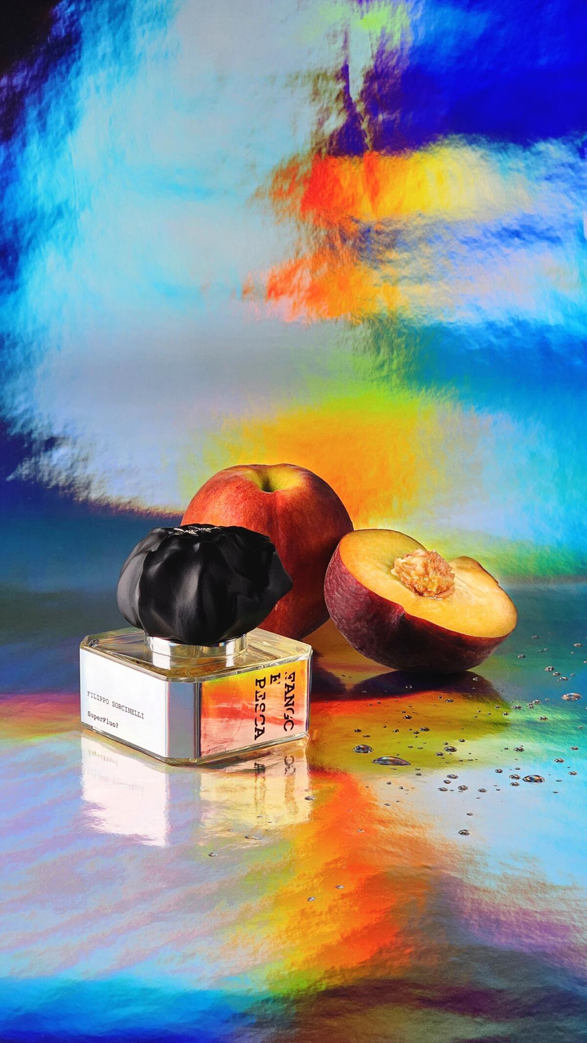 عطر ادکلن فانگو اِ پِسکا فیلیپو سورچینلی - Fango e Pesca Filippo Sorcinelli - بررسی، قیمت و خرید