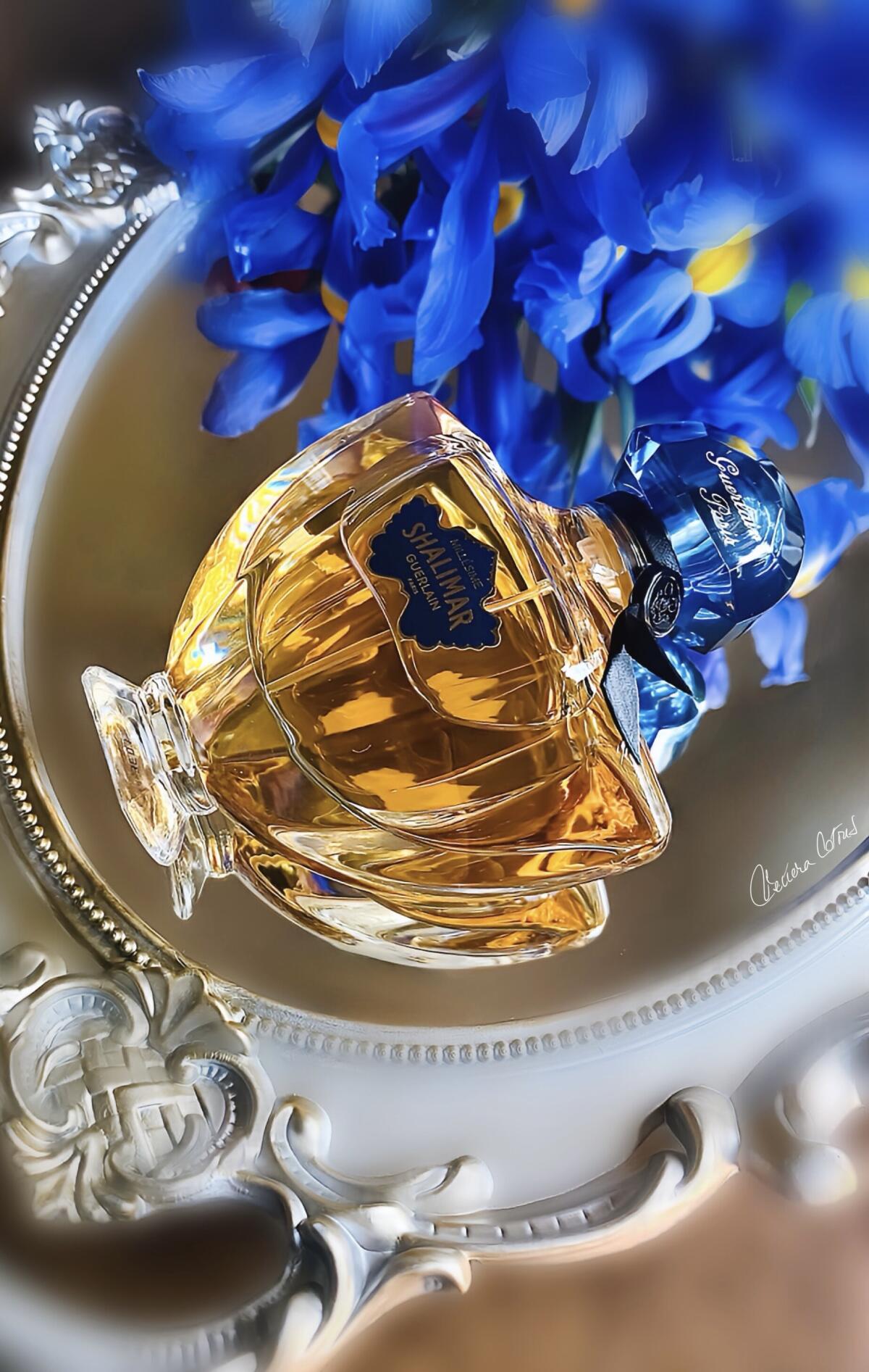 عطر ادکلن شالیمار میلزیم آیریس گرلن - Shalimar Millésime Iris Guerlain - بررسی، قیمت و خرید
