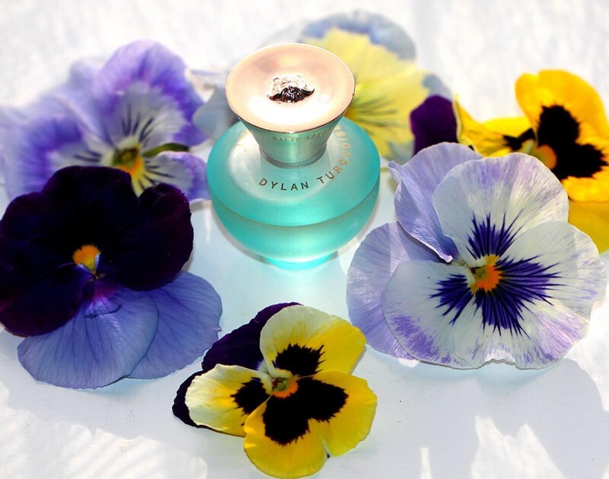 عطر ادکلن ورساچه پور فم دیلن تورکویز ورساچه - Versace Pour Femme Dylan Turquoise Versace - بررسی، قیمت و خرید