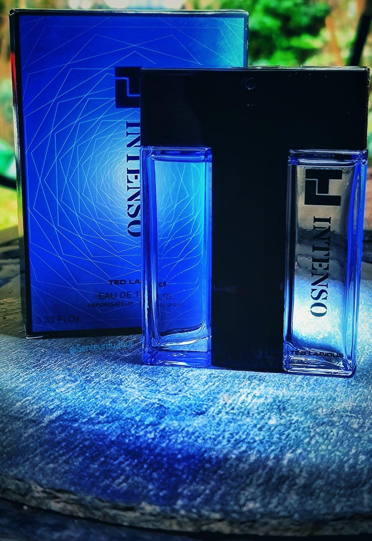 عطر ادکلن تی ال اینتنسو تد لاپیدوس - TL Intenso Ted Lapidus - بررسی، قیمت و خرید