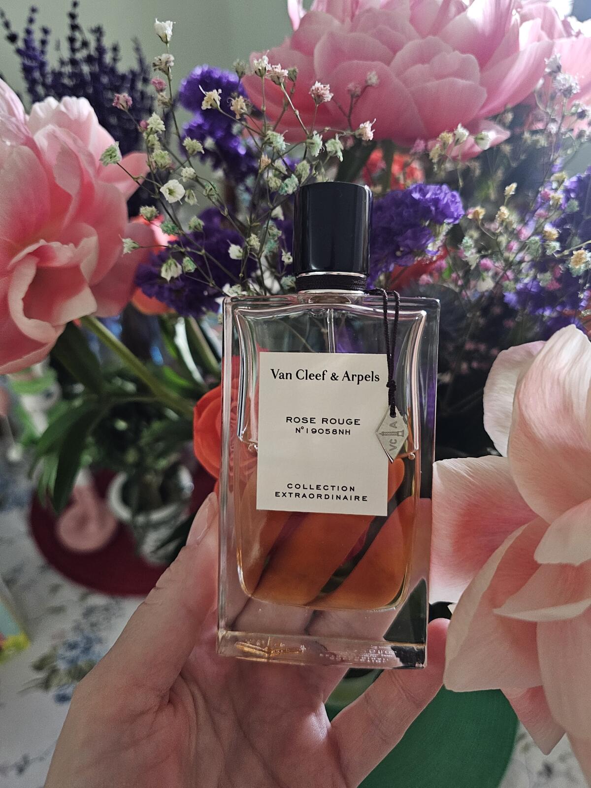 عطر ادکلن رز روژ ون کلیف اند آرپلز - Rose Rouge Van Cleef & Arpels - بررسی، قیمت و خرید