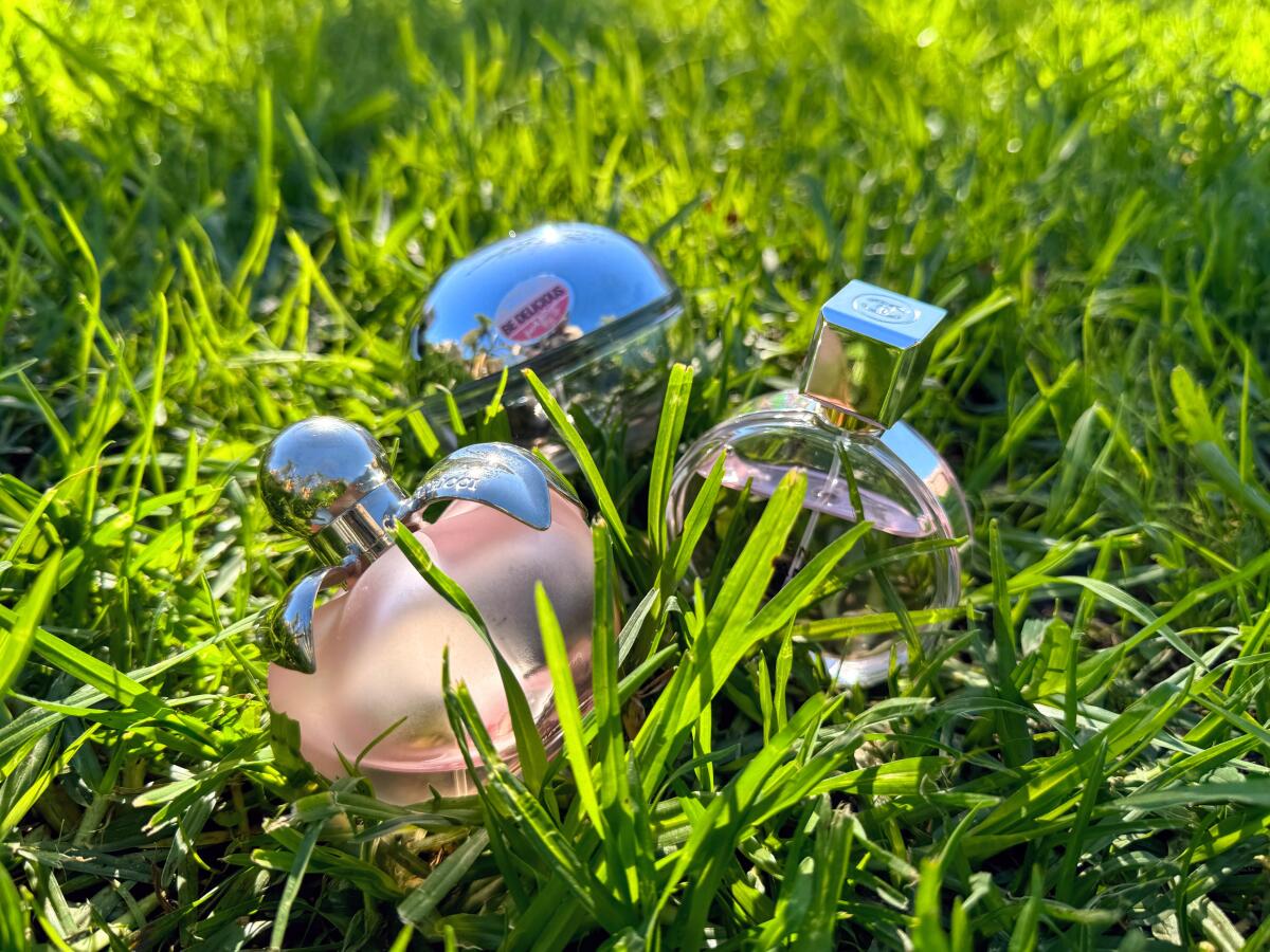 عطر ادکلن دی کی ان وای بی دلیشز فرش بلوسوم دونا کارن - DKNY Be Delicious Fresh Blossom Donna Karan - بررسی، قیمت و خرید