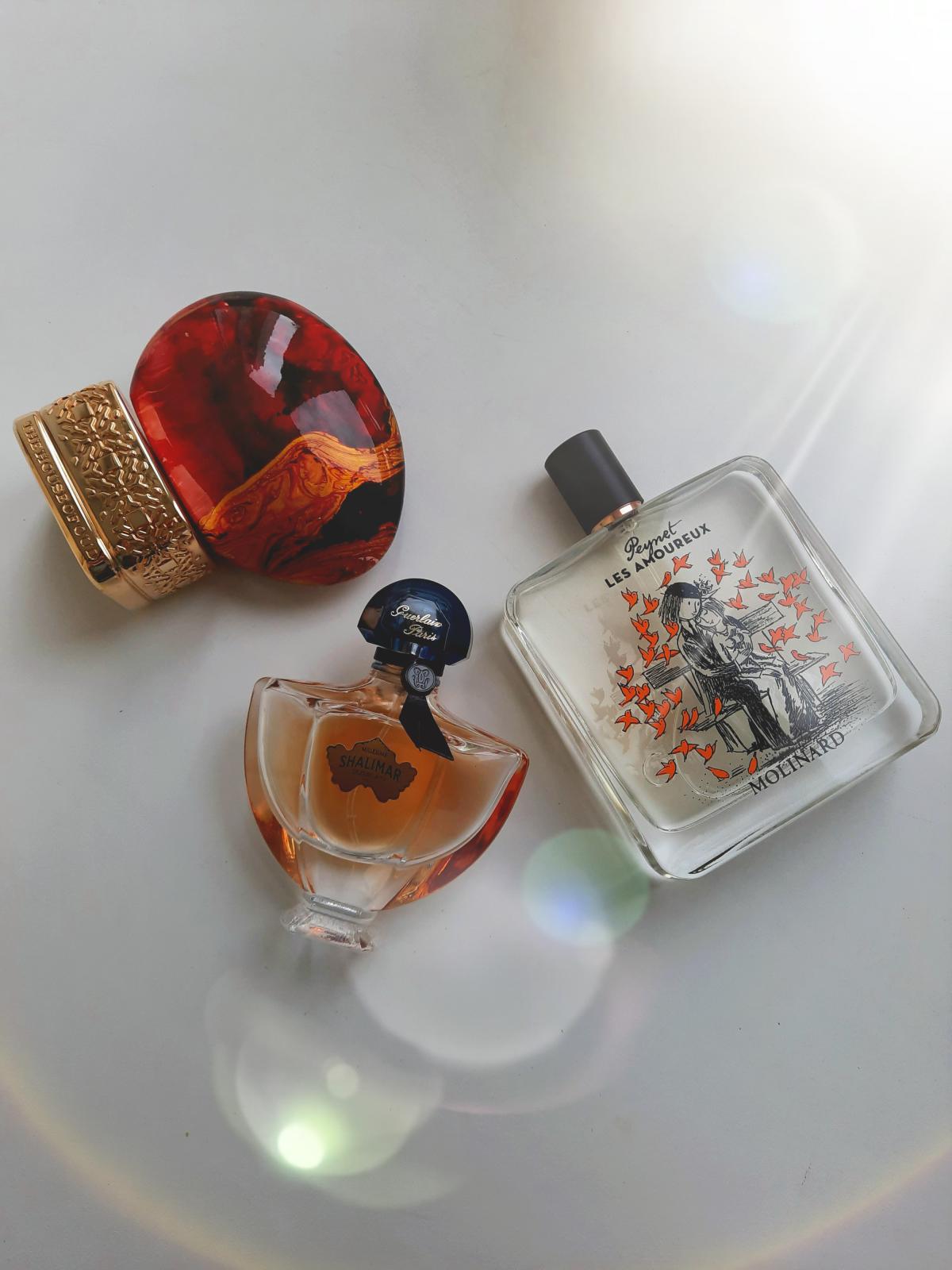 عطر ادکلن آلموند هارمونی ده هاوس آو عود - Almond Harmony The House of Oud - بررسی، قیمت و خرید