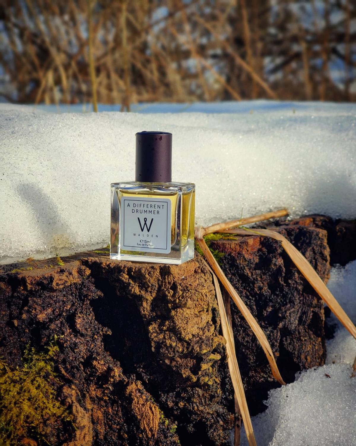 عطر ادکلن ا دفِرِنت درامِر والدن پرفیومز - A Different Drummer Walden Perfumes - بررسی، قیمت و خرید