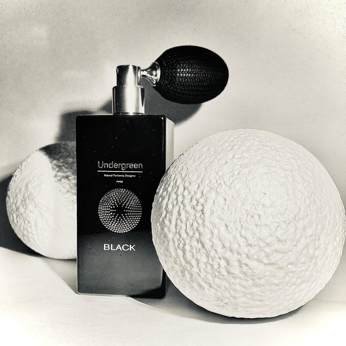 عطر ادکلن بلک آندِرگِرین - Black Undergreen - بررسی، قیمت و خرید