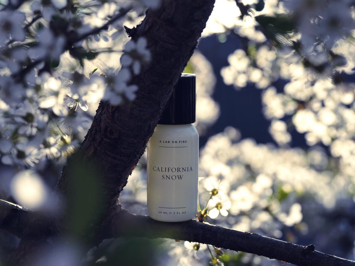 عطر ادکلن کالیفرنیا اسنو وات وی دو ایز سیکرت - California Snow What We Do Is Secret - بررسی، قیمت و خرید