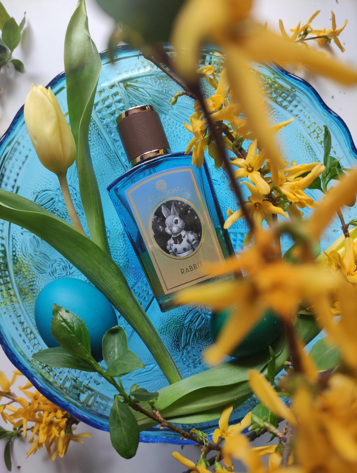عطر ادکلن ربیت زئولوژیست پرفیومز - Rabbit Zoologist Perfumes - بررسی، قیمت و خرید